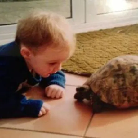 وفاة أقدم سلحفاة بريطانية