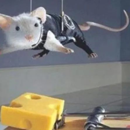 الفئران لا تحب الجبنة