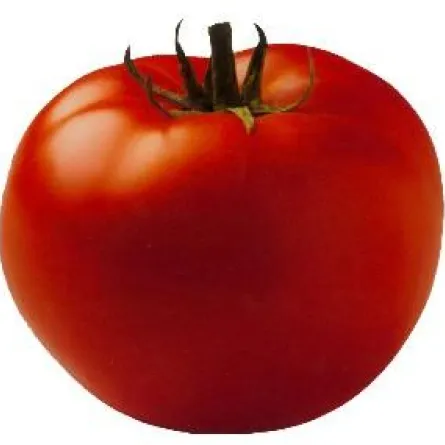 "الليكوبين" يقلل من مخاطر الصحَّة الدماغيَّة