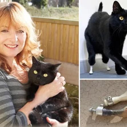 77 ألف دولار كلفة عملية لقط!