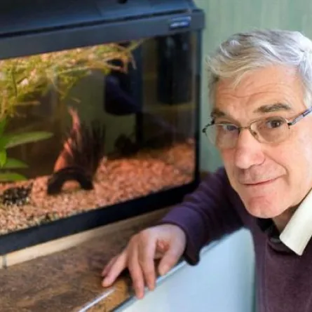 أقدم سمكة يتغير لونها حزنًا على رفيق دربها