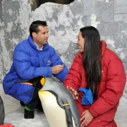 شاب يطلب يد محبوبته وسط بطاريق «سكي دبي»