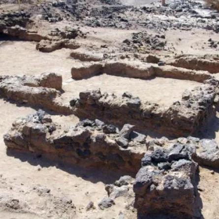 اكتشاف قصر من القرن الهجري الأول في المدينة المنورة