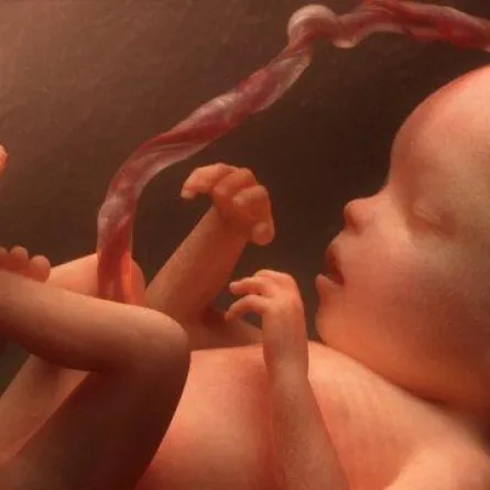 أحدث علاج لسرطان الدم بدون آثار جانبية