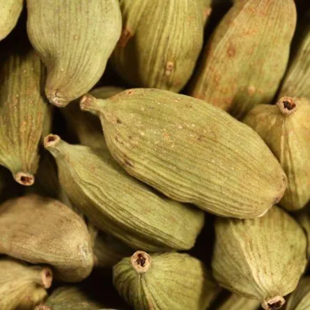 حبوب القهوة الخضراء لا تخفف الوزن