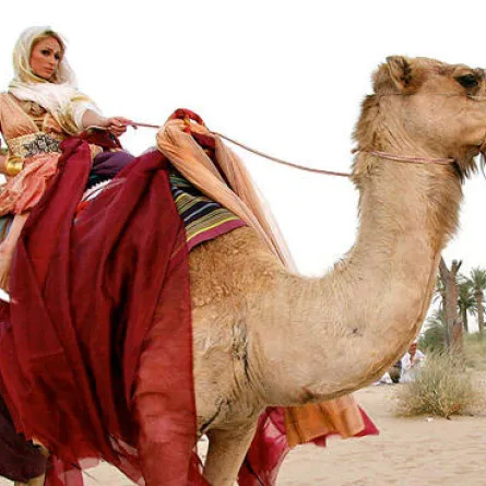 الجمل والحناء والعباية..هكذا إستمتع نجوم العالم في الإمارات