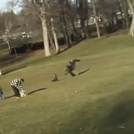 13 مليون  صدقوا خدعة "النسر والطفل"