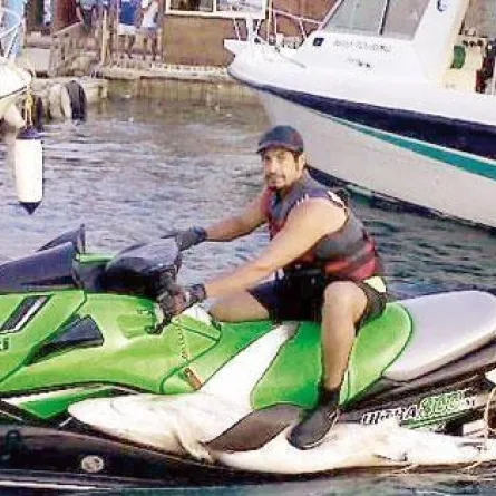 قرش طوله متران ونصف في جدة