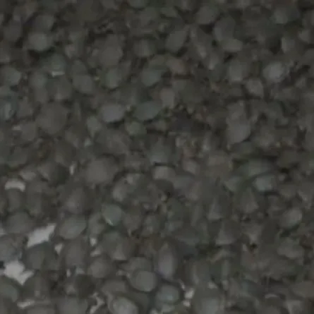 10 آلاف سلحفاة نادرة في علب كريم الشمس