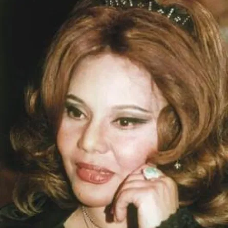 السطو على مجمع ماجدة الصباحي للفنون