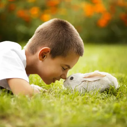 تربية الحيوانات في المنزل.. هل هي مفيدة لأطفالك؟