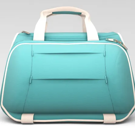 دليلك إلى أجمل حقائب النادي الرياضي