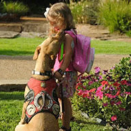 العلاج بالحيوانات.. لمن يجرؤ فقط!!