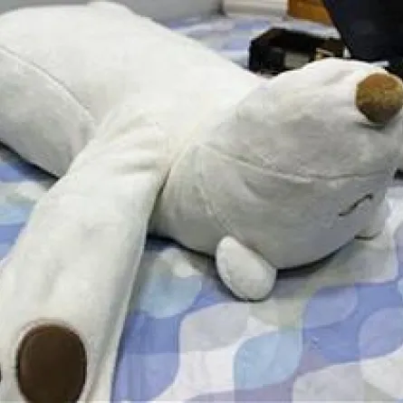 وسادة  يابانية للتخلص من الشخير