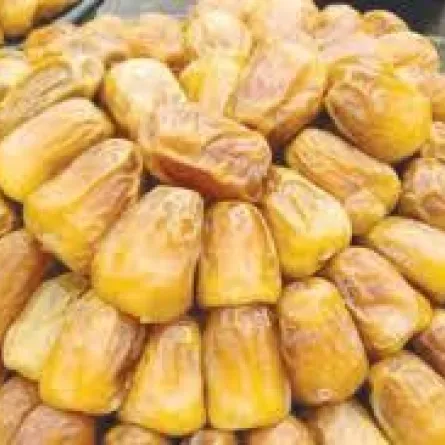 ملتقى مصدري التمور السعوديَّة في إسطنبول