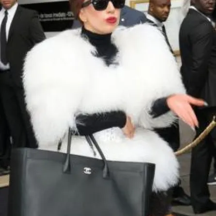 هجوم على غاغا وبيبر من أجل الحيوانات