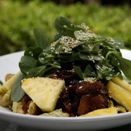 سلطة البط مع الاناناس لحميتكِ