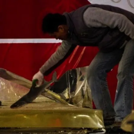 انفجار حوض أكواريوم ضخم في الصين