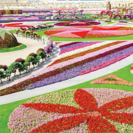أكبر حديقة زهور في العالم تحتضنها دبي