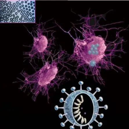 إصابة جديدة بفيروس "كورونا" في السعودية