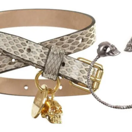 اكسسوارات للفتاة الجريئة من الكسندر مكوين