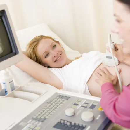 مراحل نمو الجنين 1