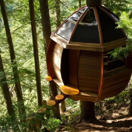 5 منازل بيضاوية الشكل