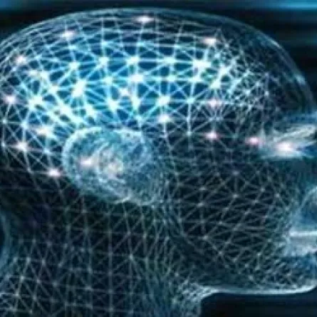 تجاهل المعلومات غير المهمة دليل على الذكاء