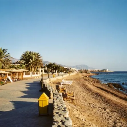 ضبط طليق فنانة مصرية متنكراً في زي فتاة ليل