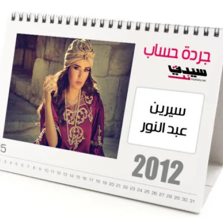 سيرين عبد النور: تألقت مع روبي ومصر خذلتها