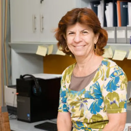 ماجدة شاهين في صندوق الأمم المتحدة