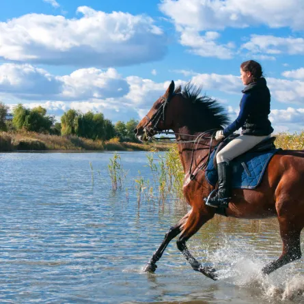 هل تؤثر الرياضة على عذرية الفتيات؟