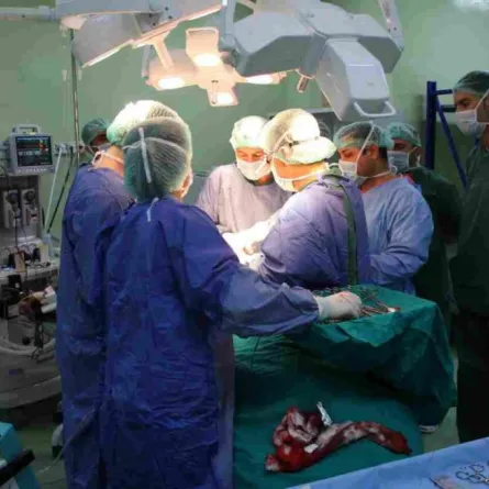 4415 عملية زراعة كلى في السعودية العام الماضي