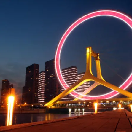 أغرب جسور العالم