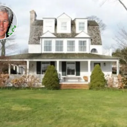 البساطة ترسم ديكور منزل Richard Gere