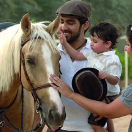 «اسطبلات التميمي» حديقة تعزز فهم الطبيعة في الشارقة