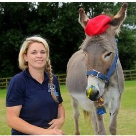 الحمارة "باتي".. فنانة مبدعة!