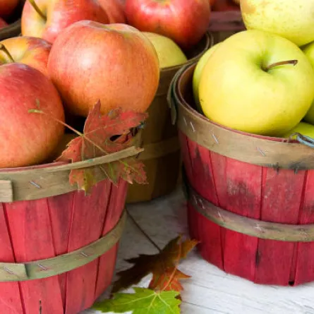 أغذية تزيد احتمالات الحمل .. 