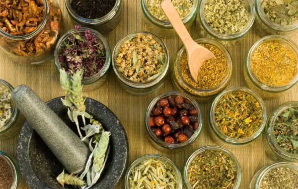 دراسة تدعو للحذر من استخدام الأعشاب لعلاج مشكلات الأطفال المعوية