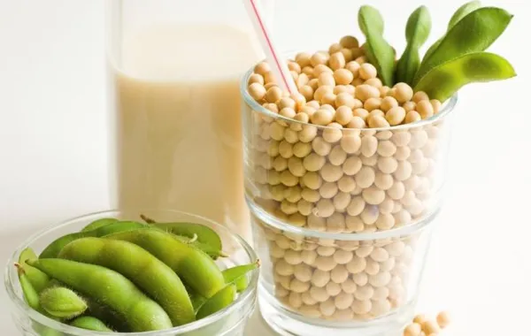 الصويا لمحاربة امراض الجهاز الهضمي