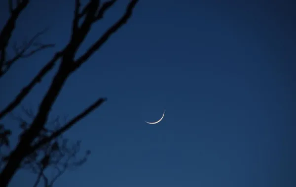 فلكياً.. رمضان سيكون في السبت المقبل