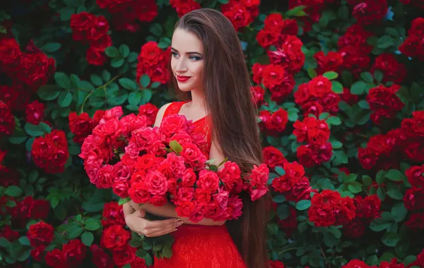 أي الورود أنت آنستي؟