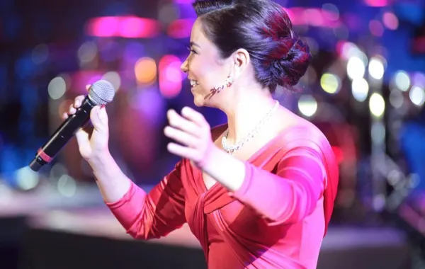 رغم نجاحها الجماهيري القياسي  تونسيون غاضبون من شيرين ... لماذا؟