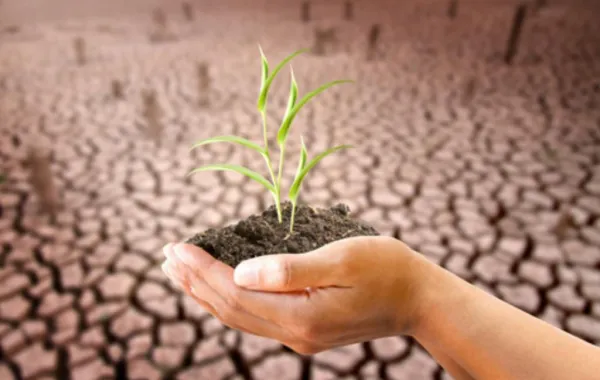 استنفاد موارد الأرض لعام 2017 الأربعاء المقبل