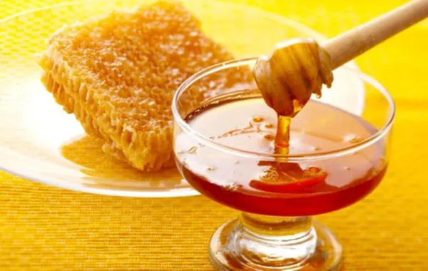 جمعية النحالين تطلق تطبيقاً خاصاً بمهرجان العسل الدولي