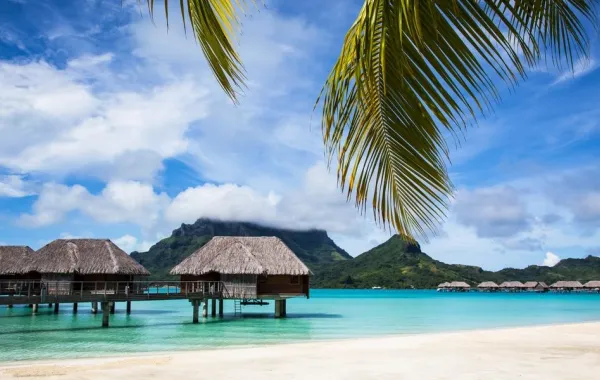 إطلات رائعة لـ فنادق عائمة تغري السائحين بالإقامة فيها