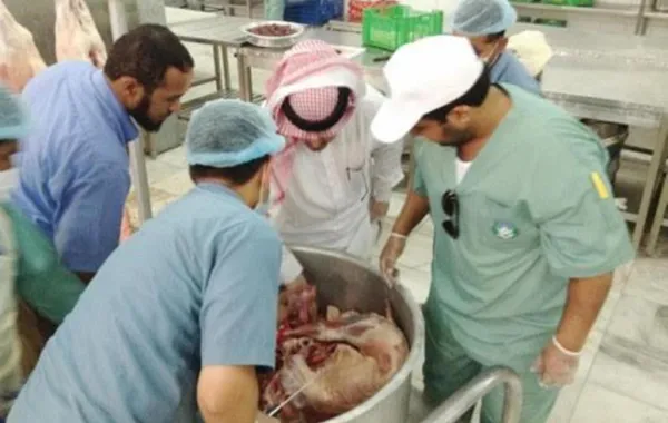 أمانة جدة تكثف الرقابة الصحية على منشآت الإعاشة في المطار