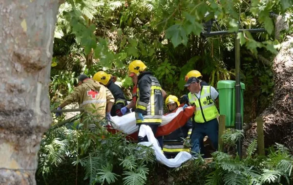 بالفيديو.. شجرة تقتل 13 شخصاً خلال احتفال ديني بالبرتغال