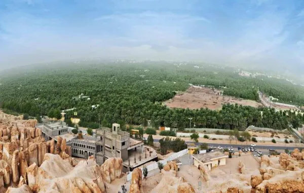 مقترحات نسائية لتطوير المرافق العامة في الأحساء