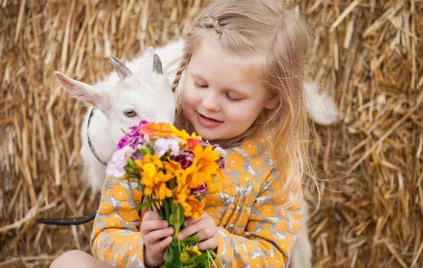 ما هي السن المناسبة لرؤية الأطفال ذبح الأضحية؟